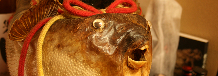 きくひろ トップ画像